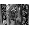 thumbnail image 2 of Phillip, Jamie 14x12 White Modern Wood Framed Museum Art Print Titled - Lickity Sloth, 2 of 4