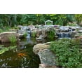 thumbnail image 5 of Aquascape Maintain for Ponds, 5 of 5