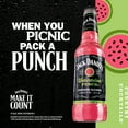 thumbnail image 3 of Jack Daniel's Watermelon Punch Malt Beverage, 23.5 fl oz Can, 4.8% ABV, 3 of 8