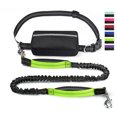 thumbnail image 1 of Correa para perro manos libres con bolsa con cremallera, correa para correr para perro con cinturón ajustable y, correa elástica reflectante manos libres para perros medianos a grandes (verde), 1 of 5