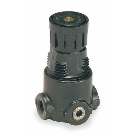 Wilkerson Air Regulator,1/8 In. NPT,13 cfm,300 psi R03-01-000
