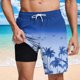 thumbnail image 5 of Pantalones Cortos Casuales para Hombre Imprimir con Bolsillos Pantalones de Playa de Cintura Elástica, Pantalones Cortos de Cintura Elástica para Hombre, 5 of 6