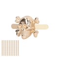 thumbnail image 3 of Skull Prong Stud,150 Pcs Skull Rivets DIY Rivet Accessories Ghost Head Studs Built to Last, 3 of 14