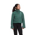 thumbnail image 1 of Chaqueta The North Face de forro polar Mashup para niñas, color salvia oscuro, 1 of 3
