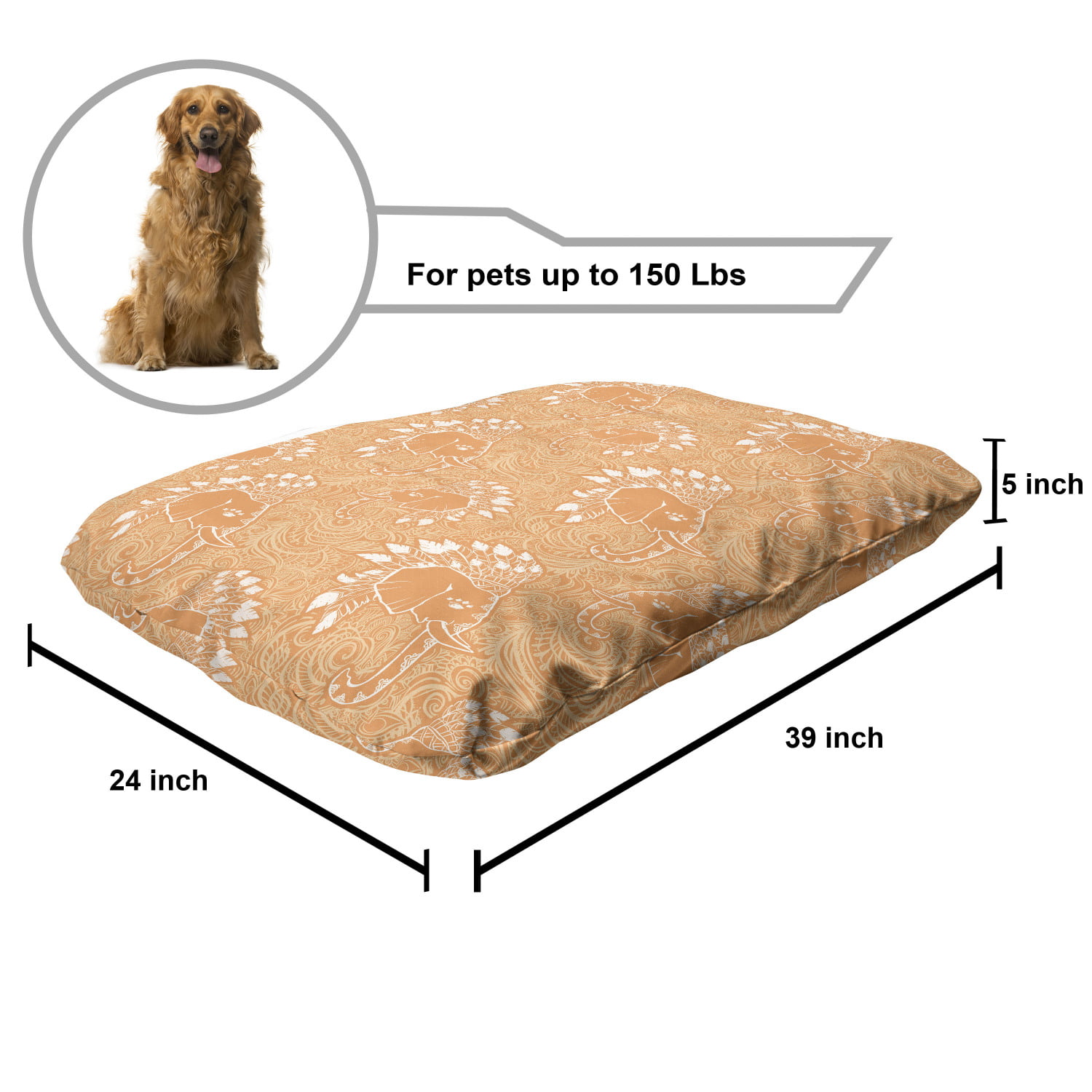 Boho Pet Bed, Hat with Feathers and Ornaments, Chew Resistant Pad for Dogs  and Cats Cushion with Removable Cover, 24 x 39, Pale Orange White, by  Ambesonne 
