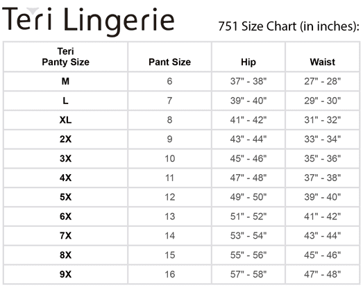 Kathryn Light Tummy Control Microfiber Brief 2-Pack (Style 751) by Teri Lingerie