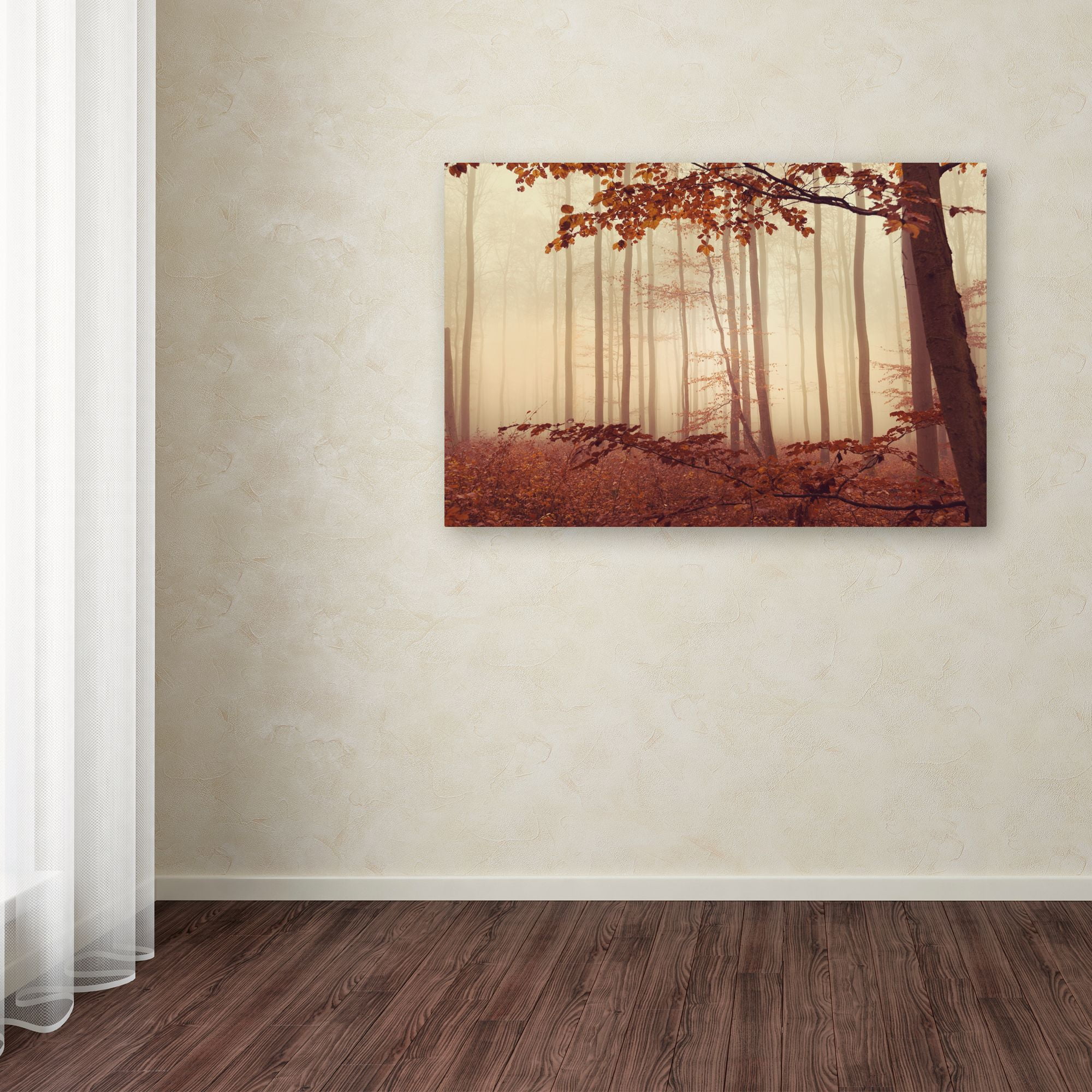 Trademark Fine Art "The Last of Fall" Canvas Art by Philippe Sainte-Laudy