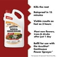 thumbnail image 3 of Spectracide Weed & Grass Killer Refill for AccuShot Sprayer, 1 Gallon, 3 of 12