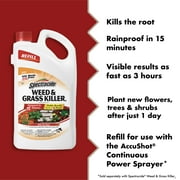 Spectracide Weed & Grass Killer Refill for AccuShot Sprayer, 1 Gallon