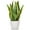 Style23, variant on 13" Artificial Snake Plant Potted Faux Sansevieria Trifasciata Plants Tropical Fake Plants in White Pots Outdoor Home Decor