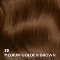 thumbnail image 3 of L'Oreal Paris Superior Preference Permanent Hair Color, Oil-in-Gel, Medium Golden Brown, 1 unit, 3 of 11