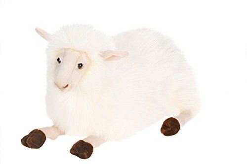 hansa sheep
