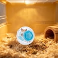 thumbnail image 5 of 5.12‑Inch Transparent Hamster Exercise Running Ball, Small Pet Rolling Toy, Portable Activity Jogging Roller Ball for Dwarf Hamster, Golden Bear Hamster & Gerbil Small‑Animal Play, 5 of 6