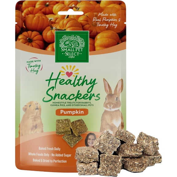 Small Pet Select - Healthy Snackers - Pumpkin