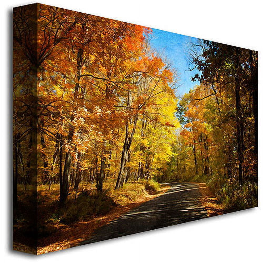 Trademark Fine Art "Fall Walkway" Canvas Wall Art by Lois Bryan