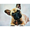 thumbnail image 2 of Aldridge, Ashley 24x19 White Modern Wood Framed Museum Art Print Titled - Fawn French Bulldog Puppy Pose, 2 of 4