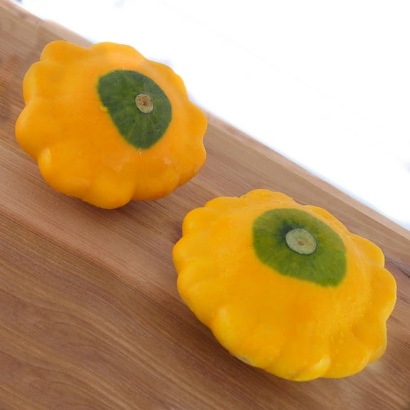 Squash Seeds - Y-Star Organic Variety Squash Seeds - Non-GMO - 50 Seeds