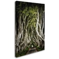 thumbnail image 2 of Trademark Fine Art "Romantic Avenue" Canvas Art by Philippe Sainte-Laudy, 2 of 3
