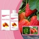 thumbnail image 1 of Solución Nutritiva para Plantas de 100 Ml | Mejora La Absorción de Nutrientes | Favorece La Salud y El Crecimiento de Las Plantas | Apta para Flores, Frutas y Hortalizas | Incrementa La Producción |, 1 of 7