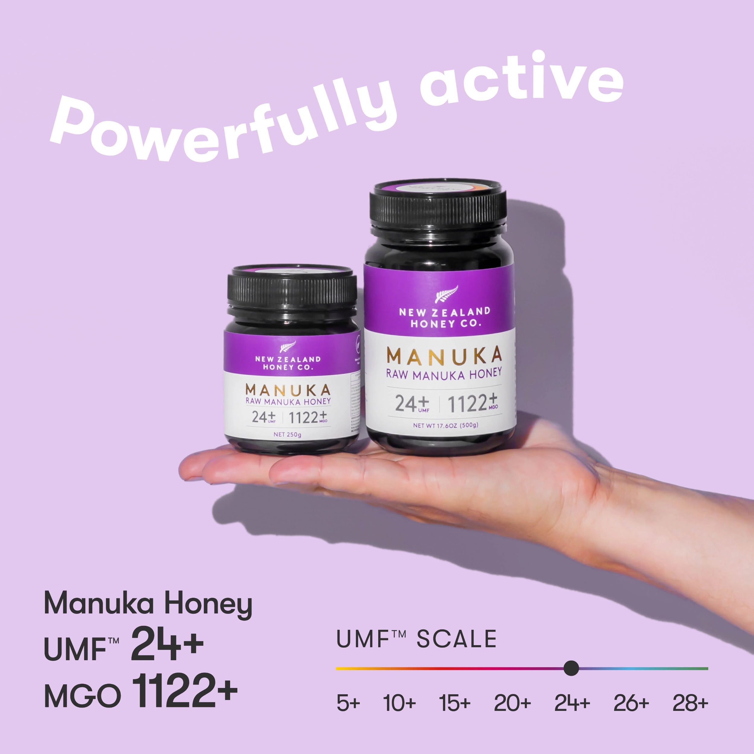 New Zealand Honey Co. Raw Manuka Honey UMF 24+ | MGO 1122+ 17.6 oz