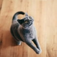 thumbnail image 5 of Purina Dentalife Dental Cat Treats 2 Flavor 4 Pouch Variety 2 Each: Tasty Chicken, Savory Salmon + MerlinsMart Zine | Catnip Toy, 5 of 7