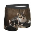 thumbnail image 3 of Bingfone Cat Family Men'S Underwear - Casual Stretch Boxer Briefs-Large, 3 of 9