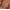 MOCHA, variant on "Palladio BUILD + BLEND Foundation Stick, Contour Stick for Face, Professional Makeup for Perfect Look, 0.25 Ounce (Porcelain)"
