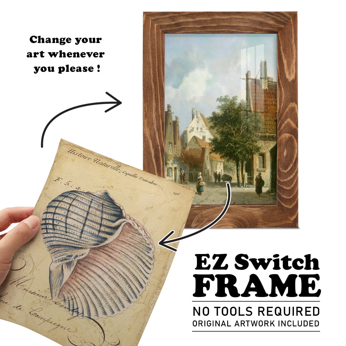 Seashell Ephemera V - Framed Print w/glass - Walnut