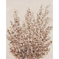 thumbnail image 2 of OToole, Tim 12x14 Gold Ornate Wood Framed with Double Matting Museum Art Print Titled - Rustic Wildflowers II, 2 of 4