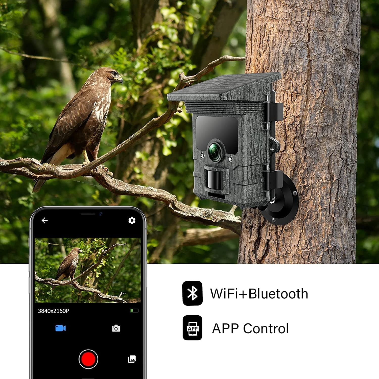 CAMPARK Solar Powered Trail Camera with SD Card Rechargeable 4400mAh 4K 48MP WiFi Game Camera with 0.1s Motion Activated Night Vision Waterproof IP66 for Wildlife Monitoring Hunting Trail Cam