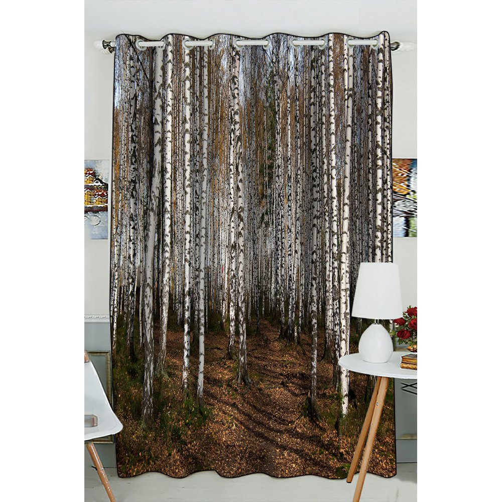 Phfzk Autumn Landscape Window Curtain, Woodland Forest With Birch Tree