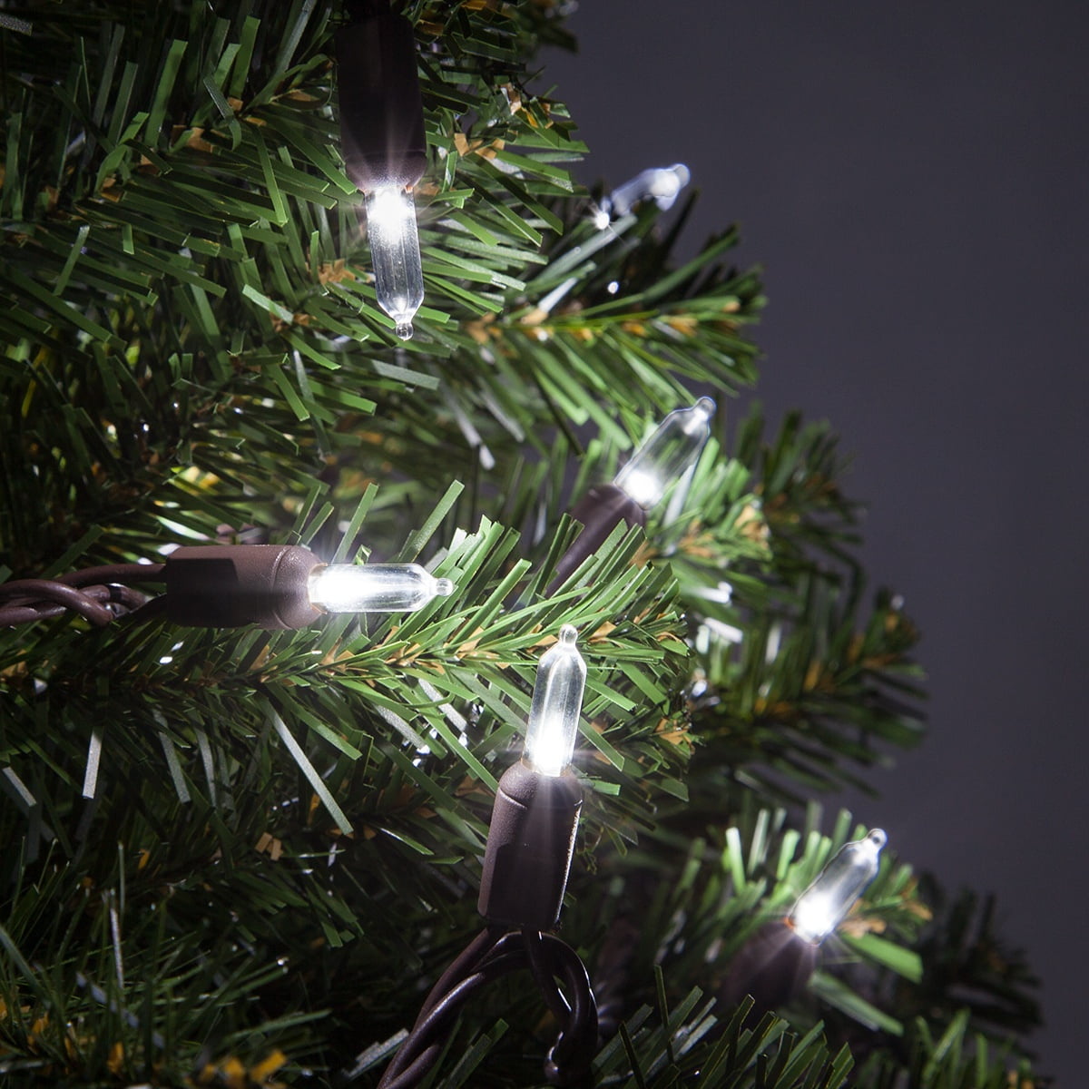 Wintergreen Lighting T5 LED Mini Lights Brown Wire Christmas Lights, Brown Wired Clear Mini Lights, LED Christmas Lights, 50 Lights
