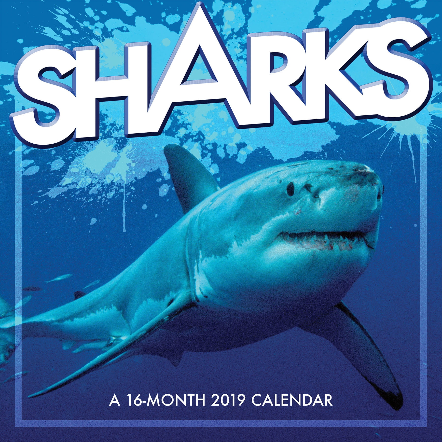 2019 Sharks Wall Calendar