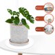 thumbnail image 3 of 6 macetas de plástico para interior, bandejas para macetas, drenaje para plantas, macetas de agua., 3 of 6