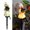 L, variant on Halloween Pumpkin Figurine Patch Lights, with Magician Hat Stakes Led Light, Horror & Fun Display for Spooky Season, Ideal for Garden, Lawn & Pathway, Perfect Halloween Decoration & Fall Decor