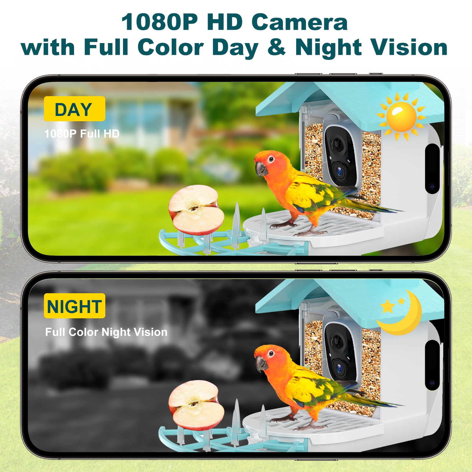 Solar Bird Feeder with Camera, Smart AI Recognition Squirrel Proof Birdwatching Camera, 1080P HD Color Night Vision, Tree Mount
