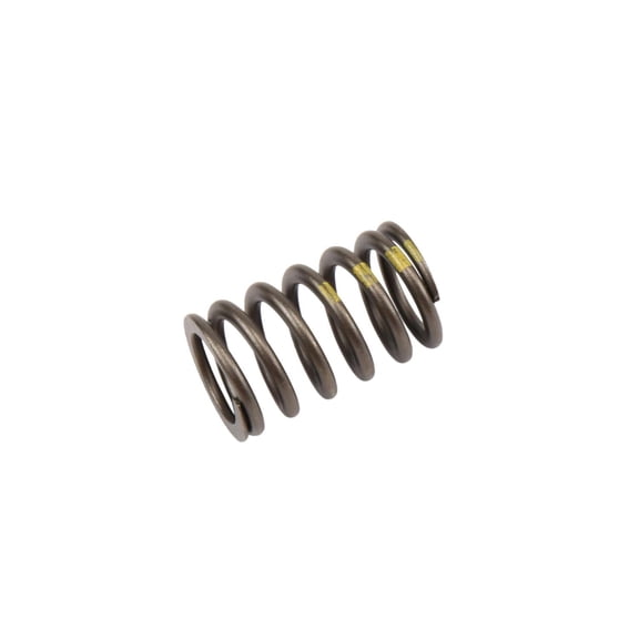 GM Genuine Parts 90537032 Engine Valve Spring