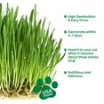 thumbnail image 3 of Groundio Cat Grass Seeds, 4 Oz, MVR1&nbsp;Non-GMO Wheat Cat Grass Seeeds & Oat Seeds Mix, High Germination Cat Grass Seeds Grown in USA for Indoor Cats, 3 of 3