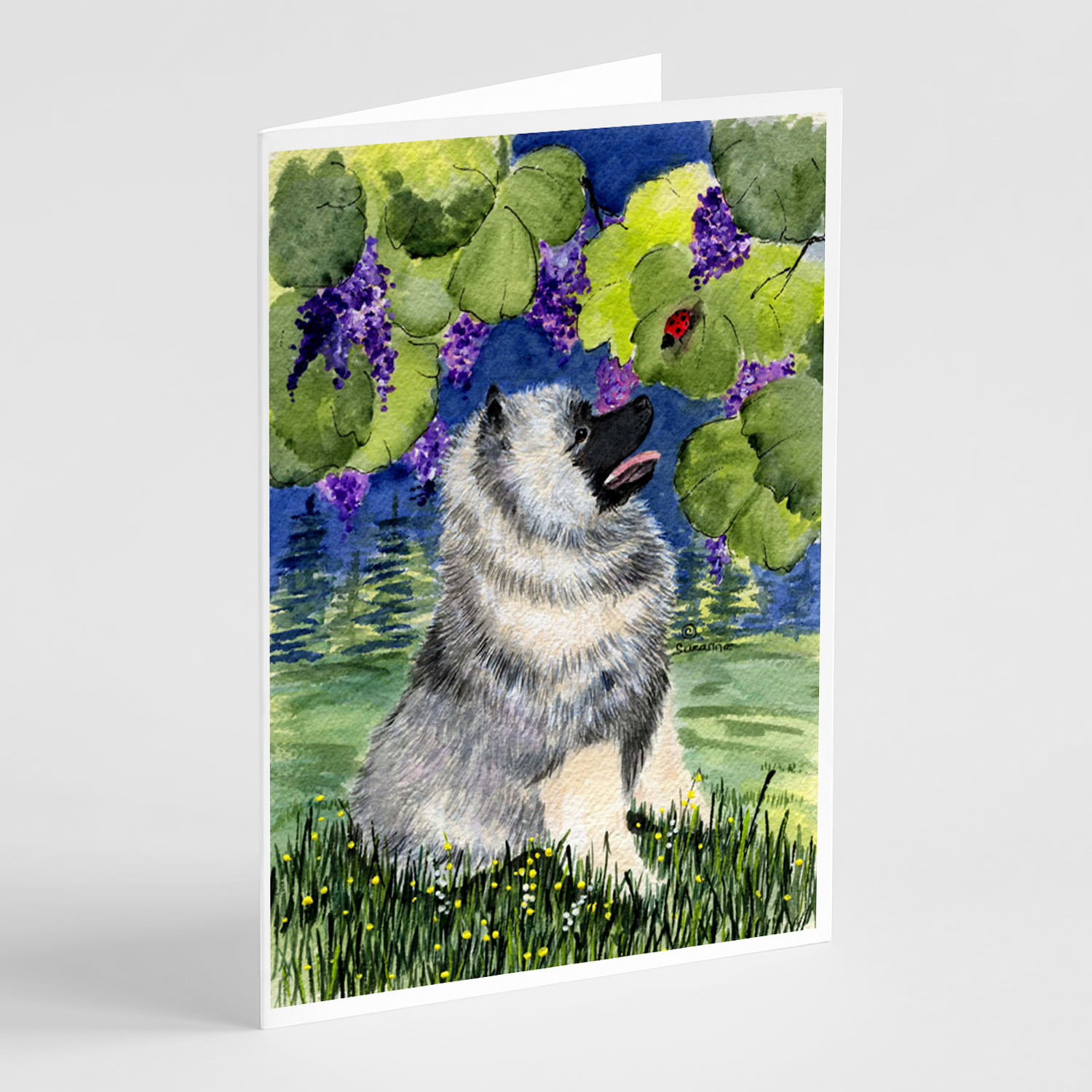 Keeshond Blank Note Card 