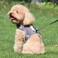 thumbnail image 2 of Monfince Dog Reflective Collars Harnesses Leads Vest Harness Pet Harness for Small Medium Large Dogs Collars Harnesses Leads, Rose, M, 2 of 6