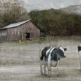 thumbnail image 4 of Country Satisfaction by Nan Wrapped Canvas Painting Art Print, 4 of 4