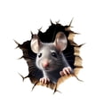 thumbnail image 2 of Funny 3D Hole In The Wall Decal Peel And Stick Art Sticker For Home, 2 of 6