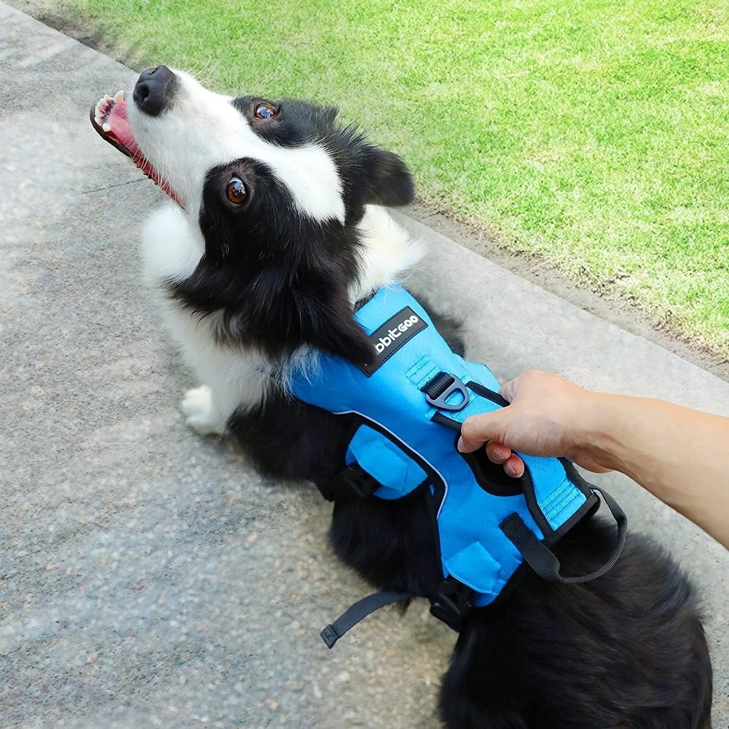 rabbitgoo Escape Proof Dog Harness, Soft Padded Full Body Pet Harness, Reflective Adjustable No Pull Vest with Lift Handle and Lesh Clip for Large Dogs Walking Hiking Training, Blue