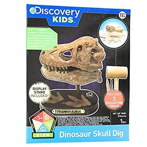 amazon dinosaur excavation kit