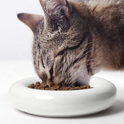 Cat Food Bowl, Ceramic Bowls for Indoor Cats, No Spill Cat Feeding Bowl, Whisker Stress Free Kitten Bowls, Non Skin Pet Bowls for Food and Water (Torus - Set of Two, White)