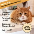 thumbnail image 2 of Pet Honesty Immune Health Lysine Powder for Cats, 120 Scoops, Chicken & Tuna Flavor, 2 of 10
