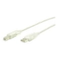 thumbnail image 1 of StarTech.com 6 ft Clear A to B USB 2.0 Cable - M/M - USB cable - USB (M) to USB Type B (M) - 6 ft - transparent - USBFAB6T - USB cable - USB (M) to USB Type B (M) - 6 ft - transparent - for P/N: USB120EXT, USB110EXT, USB204EXT, USB100EXT, 1 of 3