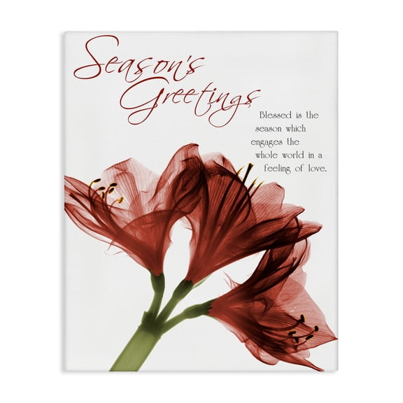 Stupell Industries French Country Season's Greetings Holiday Amaryllis Canvas Art, 16 x 20, by Albert Koetsier