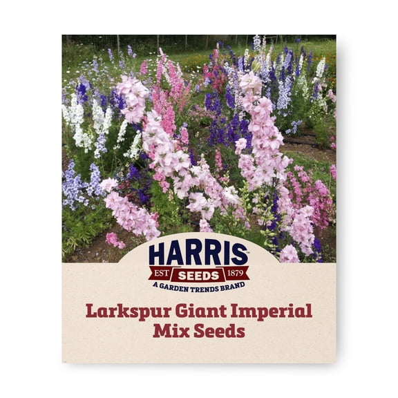 Harris Seeds Giant Imperial Mix Larkspur, Organic, Mixed Colors, 250 Count