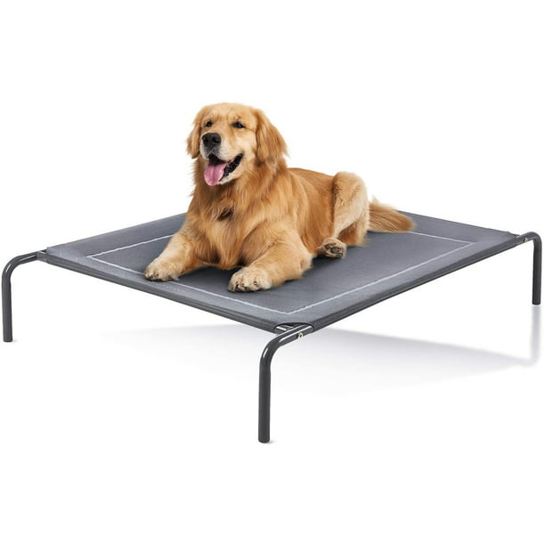 Outdoor Elevated Dog Bed 43in Pet, Why Are Beds Elevated Off The Ground